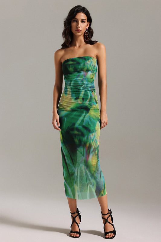 Kasa Tube Ruched Printed Mesh Dress