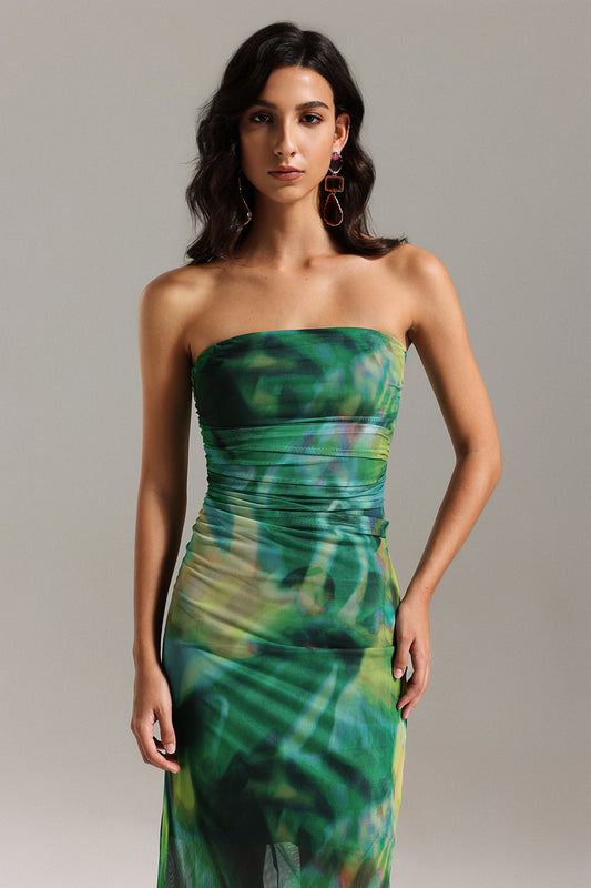 Kasa Tube Ruched Printed Mesh Dress